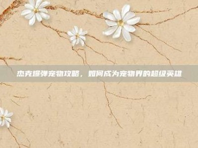 杰克爆弹宠物攻略，如何成为宠物界的超级英雄