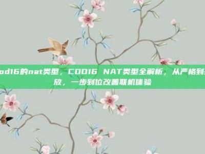 cod16的nat类型，COD16 NAT类型全解析，从严格到开放，一步到位改善联机体验