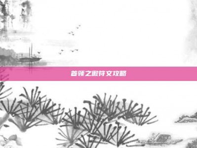 首领之傲符文攻略