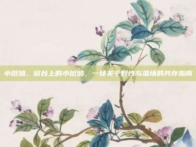 小斑鸠，窗台上的小斑鸠，一场关于野性与温情的共存指南