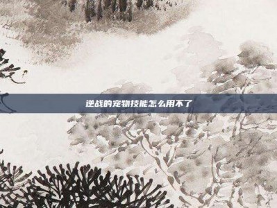 逆战的宠物技能怎么用不了