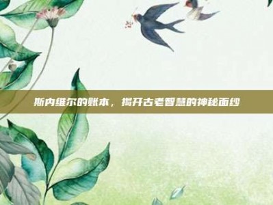 斯内维尔的账本，揭开古老智慧的神秘面纱