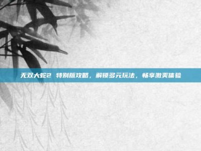 无双大蛇2 特别版攻略，解锁多元玩法，畅享激爽体验