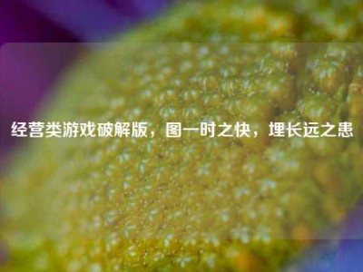 经营类游戏破解版，图一时之快，埋长远之患