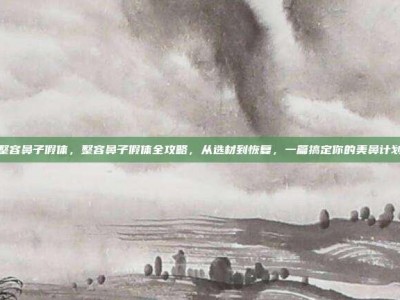 整容鼻子假体，整容鼻子假体全攻略，从选材到恢复，一篇搞定你的美鼻计划