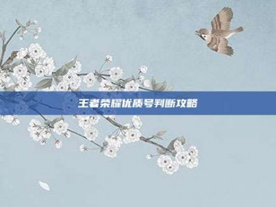 王者荣耀优质号判断攻略