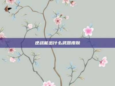 逆战能出什么武器皮肤