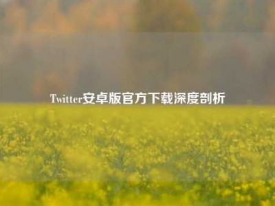 Twitter安卓版官方下载深度剖析