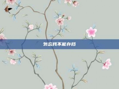 勿忘我不能存档