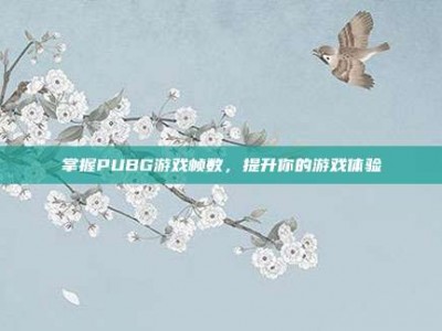 掌握PUBG游戏帧数，提升你的游戏体验