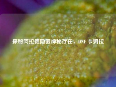 探秘阿拉德隐匿神秘存在，DNF 卡姆拉