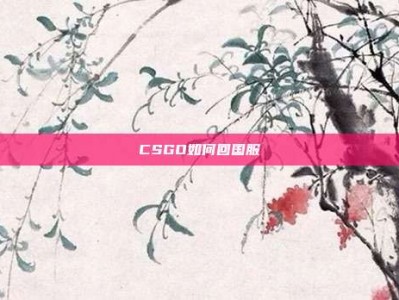 CSGO如何回国服