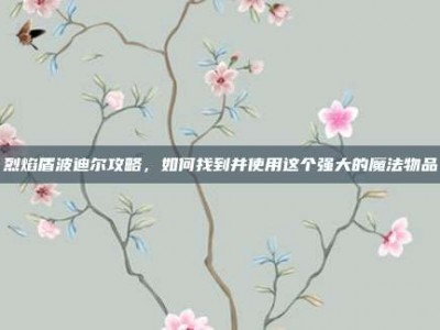 烈焰盾波迪尔攻略，如何找到并使用这个强大的魔法物品