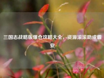 三国志战略版爆仓攻略大全，资源滚滚助成霸业