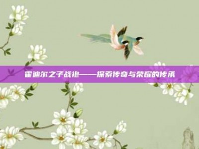 霍迪尔之子战袍——探索传奇与荣耀的传承