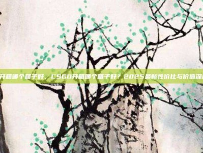 csgo开箱哪个箱子好，CSGO开箱哪个箱子好？2025最新性价比与价值深度解析