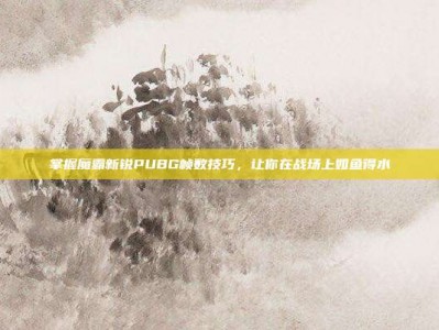 掌握魔霸新锐PUBG帧数技巧，让你在战场上如鱼得水