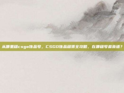 从哪里租csgo饰品号，CSGO饰品租赁全攻略，在哪租号最靠谱？
