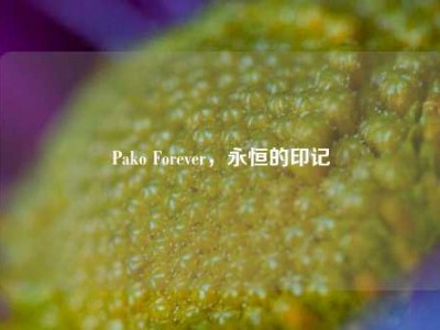 Pako Forever，永恒的印记