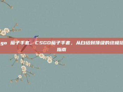 csgo 茄子手套，CSGO茄子手套，从白给到顶级的终极搭配指南