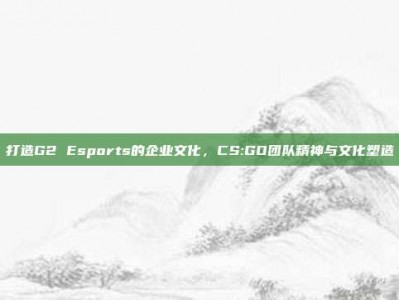 打造G2 Esports的企业文化，CS:GO团队精神与文化塑造