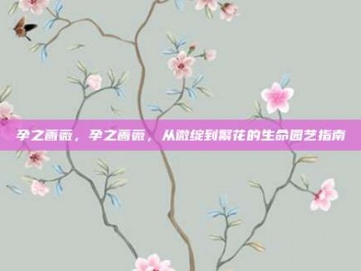孕之蔷薇，孕之蔷薇，从微绽到繁花的生命园艺指南