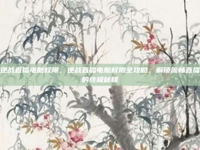 逆战直播电脑权限，逆战直播电脑权限全攻略，解锁流畅直播的终极秘籍