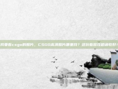 我要看csgo的照片，CSGO高清照片哪里找？这份看图攻略请收好！