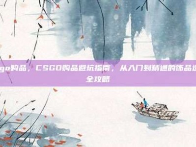 csgo购品，CSGO购品避坑指南，从入门到精通的饰品选购全攻略