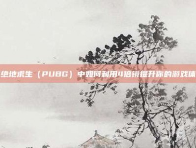 在绝地求生（PUBG）中如何利用4倍镜提升你的游戏体验
