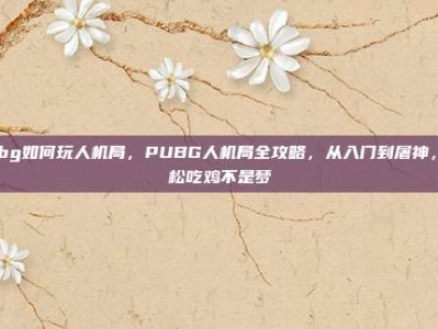 pubg如何玩人机局，PUBG人机局全攻略，从入门到屠神，轻松吃鸡不是梦