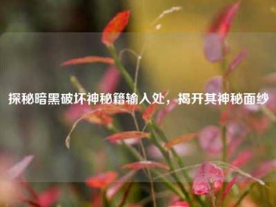 探秘暗黑破坏神秘籍输入处，揭开其神秘面纱