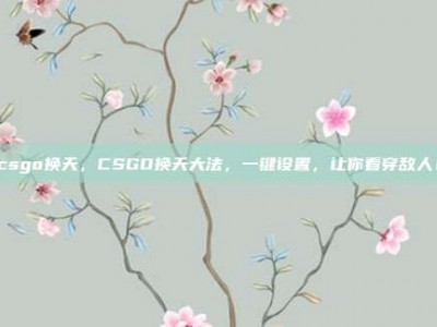 csgo换天，CSGO换天大法，一键设置，让你看穿敌人！
