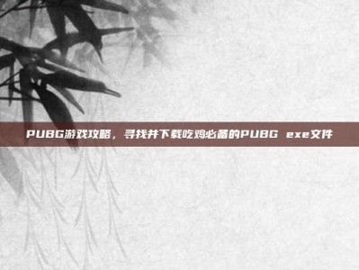 PUBG游戏攻略，寻找并下载吃鸡必备的PUBG exe文件