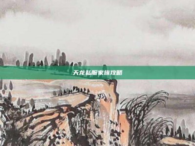 天龙私服家族攻略