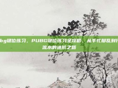 pubg键位练习，PUBG键位练习全攻略，从手忙脚乱到行云流水的进阶之路