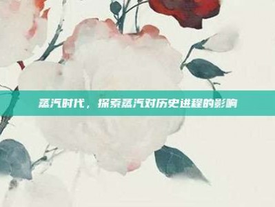 蒸汽时代，探索蒸汽对历史进程的影响