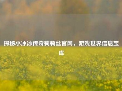 探秘小冰冰传奇莉莉丝官网，游戏世界信息宝库