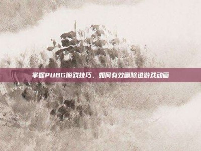 掌握PUBG游戏技巧，如何有效删除进游戏动画