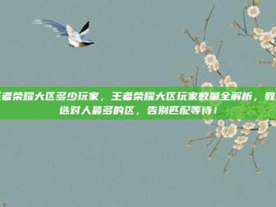王者荣耀大区多少玩家，王者荣耀大区玩家数量全解析，教你选对人最多的区，告别匹配等待！