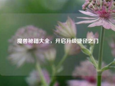 魔兽秘籍大全，开启升级捷径之门