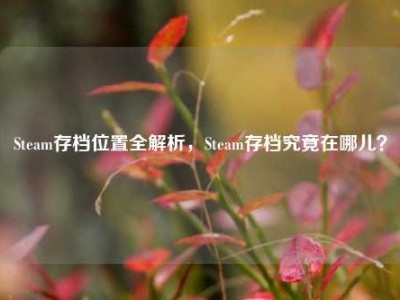 Steam存档位置全解析，Steam存档究竟在哪儿？