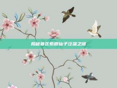 揭秘景区紫霞仙子泛滥之谜