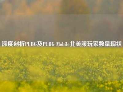 深度剖析PUBG及PUBG Mobile北美服玩家数量现状
