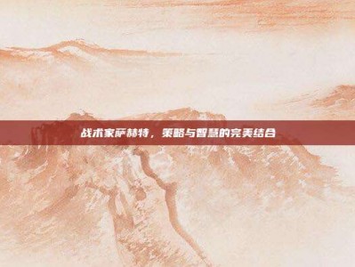 战术家萨赫特，策略与智慧的完美结合