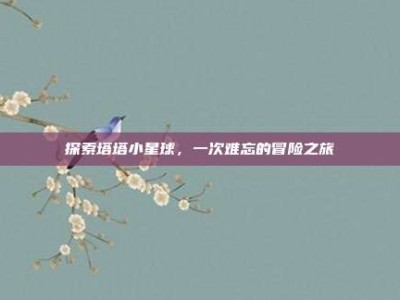 探索塔塔小星球，一次难忘的冒险之旅