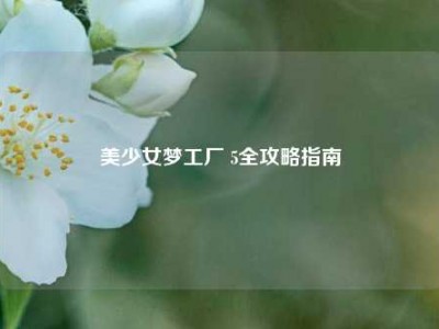 美少女梦工厂 5全攻略指南