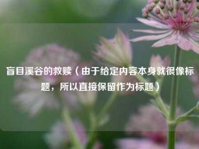 盲目溪谷的救赎（由于给定内容本身就很像标题，所以直接保留作为标题）