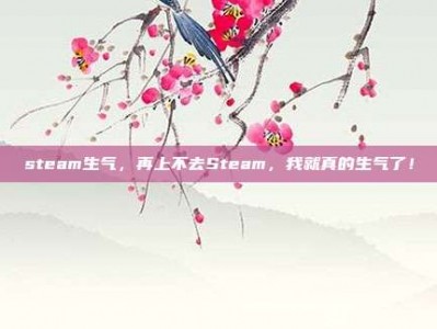 steam生气，再上不去Steam，我就真的生气了！
