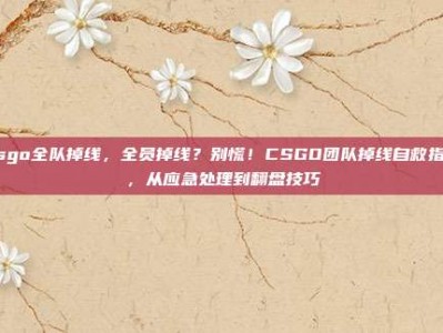 csgo全队掉线，全员掉线？别慌！CSGO团队掉线自救指南，从应急处理到翻盘技巧